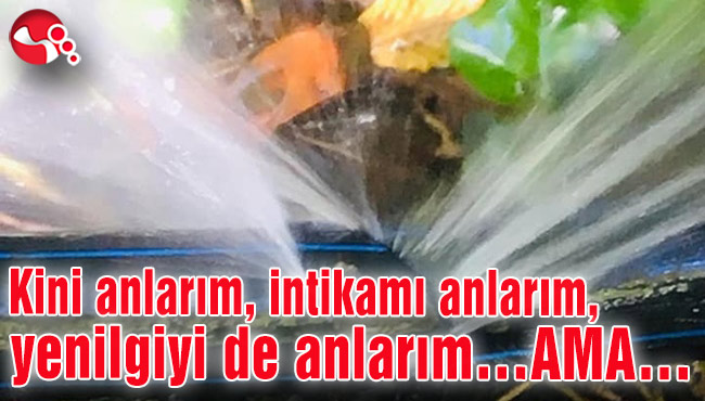 Kini anlarım, intikamı anlarım, yenilgiyi de anlarım... AMA...