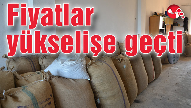 Fiyatlar yükselişe geçti