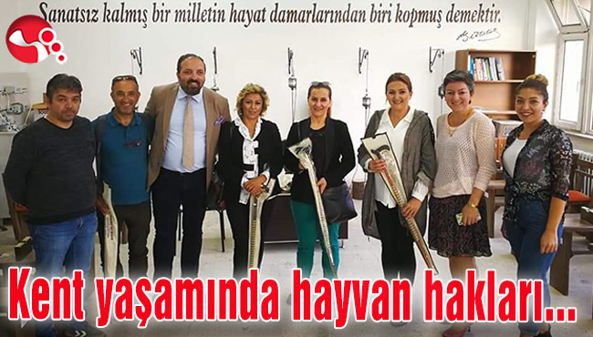 Kent yaşamında hayvan hakları...