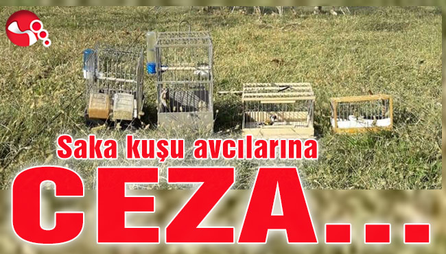 Saka kuşu avcılarına ceza...