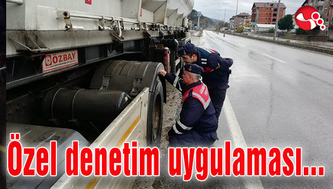 Özel denetim uygulaması...