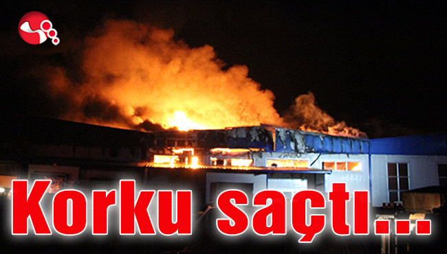 Fabrika yangını korku saçtı...