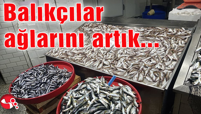 Balıkçılar ağlarını artık...