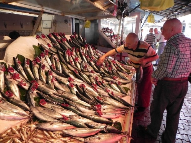 Ereğli'de palamut satışları patladı
