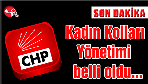 CHP’de Kadın Kolları Başkanı belli oldu…