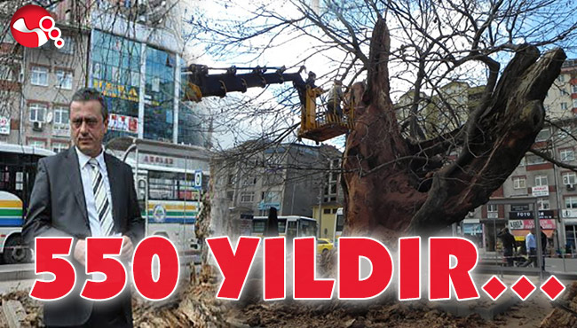 550 YILDIR…