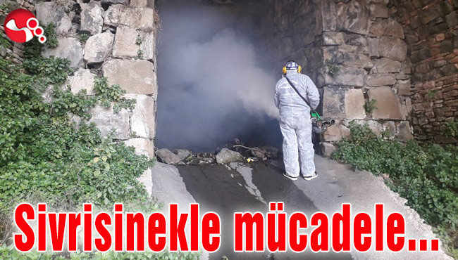 Sivrisinekle mücadele...