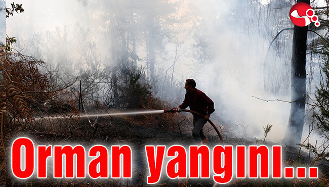 Orman yangını...