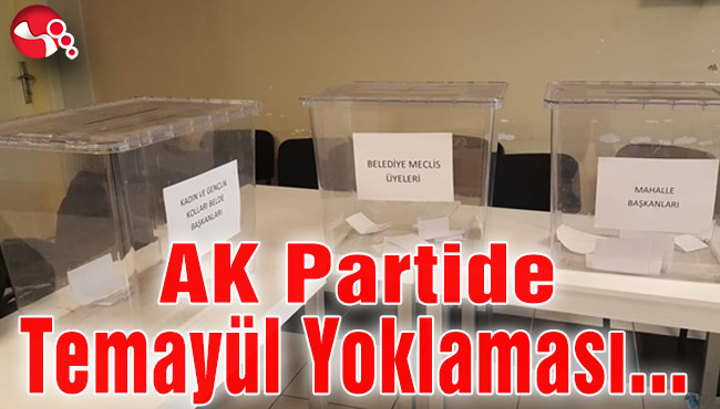 AK Partide Temayül Yoklaması başladı...
