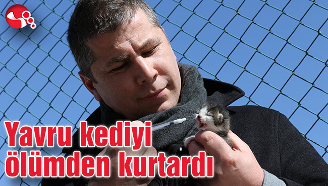 Yavru kediyi ölümden kurtardı