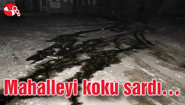 Mahalleyi koku sardı…