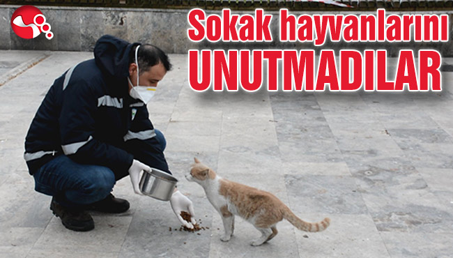 Sokak hayvanlarını UNUTMADILAR