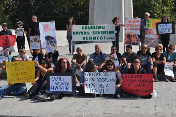 HAYVAN SEVENLERDEN OTURMA EYLEMİ