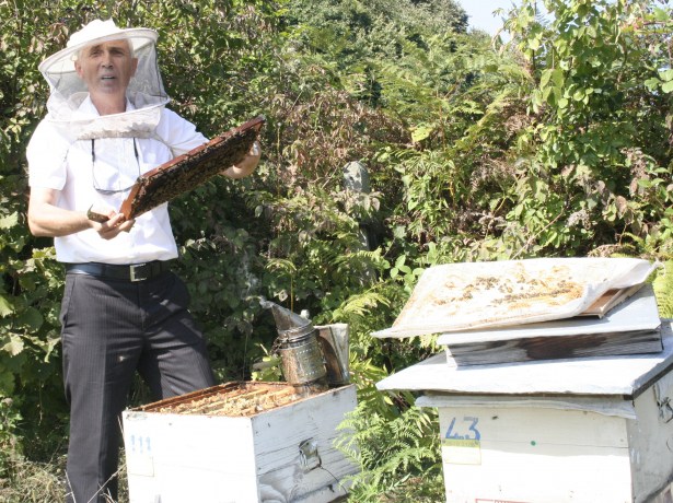 BAL ÜRETİCİLERİ BİRLİĞİ YÖNETİM KURULU ÜYESİ HASAN KALPAKLI'DAN SAHTE BAL UYARISI