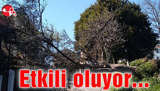 Kuvvetli rüzgâr etkili oluyor…