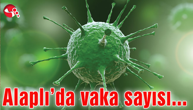 Alaplı'da korona virüste vaka sayısı...
