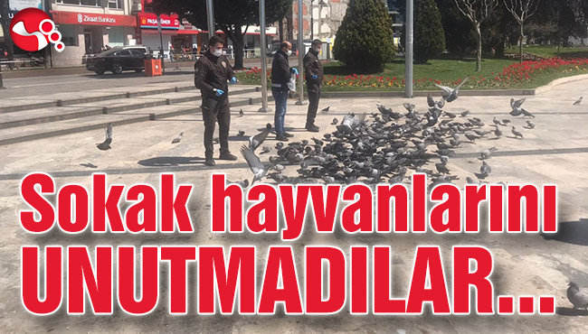 Sokak hayvanlarını unutmadılar