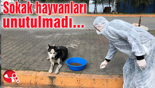 Sokak hayvanları unutulmadı…