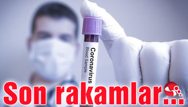 Korona virüste son rakamlar…