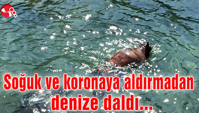 Soğuk hava ve koronaya aldırmadan denize daldı…