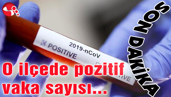 O ilçede pozitif vaka sayısı...
