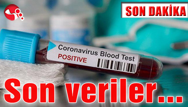 Koronavirüste son veriler...