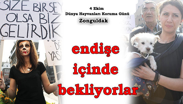 YASAYA TEPKİLER SÜRÜYOR