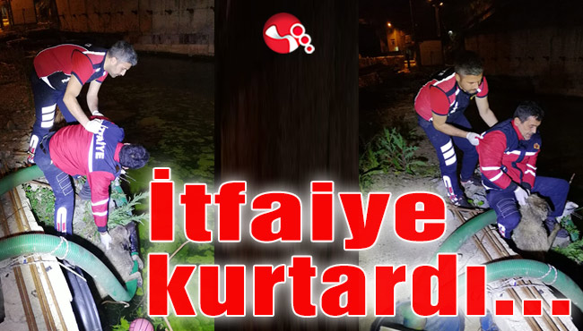 İtfaiye kurtardı…