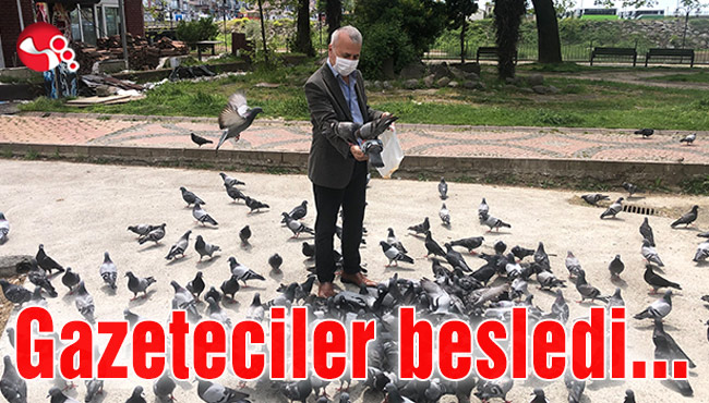 Sokak hayvanlarını gazeteciler besledi…