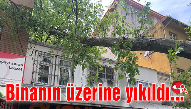 Binanın üzerine yıkıldı…