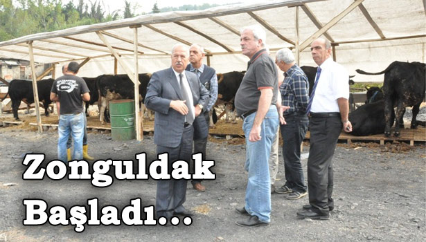 CHP'Lİ BAŞKAN, KURBAN PAZARINI KESTİ