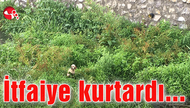 İtfaiye kurtardı…
