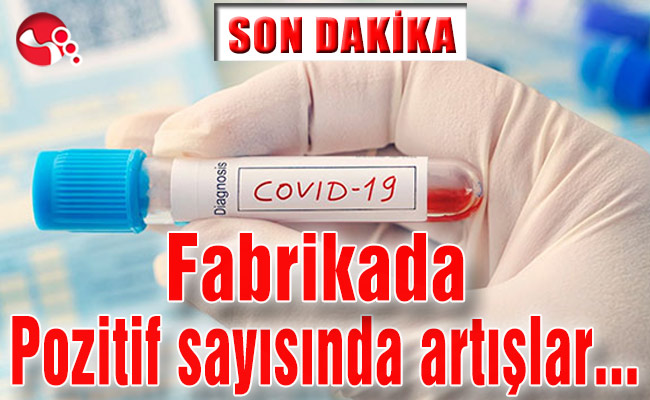 Fabrika Pozitif sayısında artışlar…