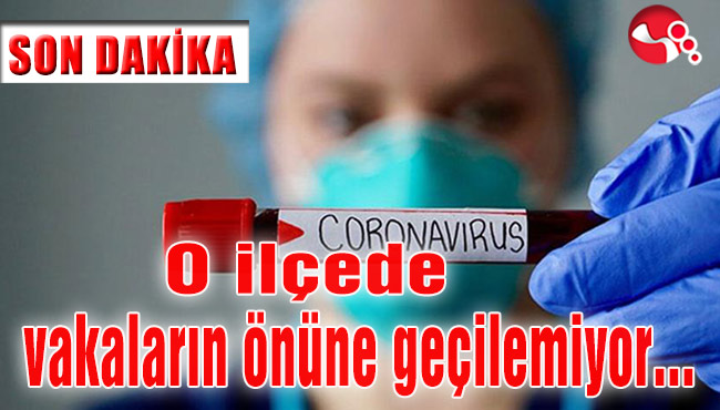 O ilçede vakaların önüne geçilemiyor…Yetkililer nerede?