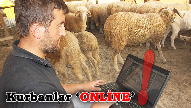 HAYVAN PAZARINDA 3G KOLAYLIĞI