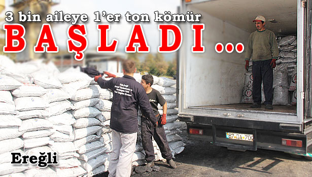 KAPILARINA KADAR GÖTÜRECEK... EVLERİNİ SYDV ISITACAK...