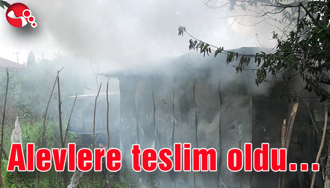 Alevlere teslim oldu…