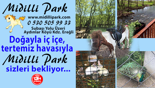 Doğayla iç içe, tertemiz havasıyla MİDİLLİ PARK sizleri bekliyor...
