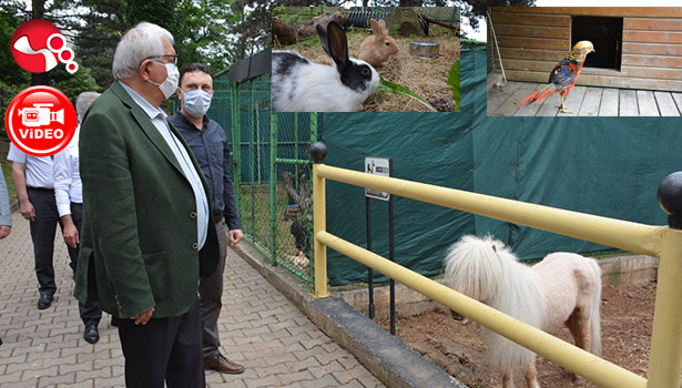 Mini Hayvanat Bahçesi açılıyor...