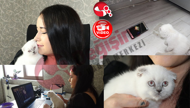 Uyutulacaktı... Dayanamadı, sahiplendi...