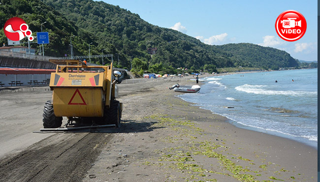 Sevgi, Barış, Dostluk Plajı kumsalı temizlendi...