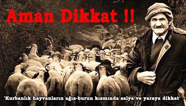 PEKİ, NELERE DİKKAT EDİLMELİ?