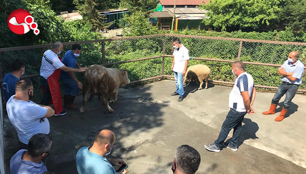 Kurban Kesim Eğitimi verildi...