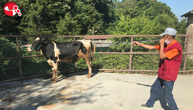 Kurban Yakalama Timi görevde