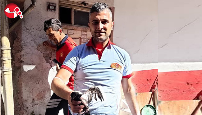 Yavru güvercine yardım eli…