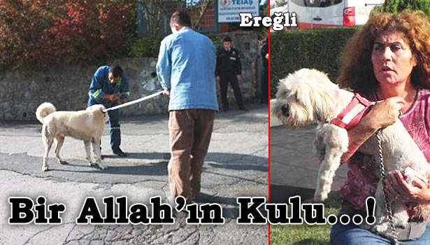 POLİS, ELİNDE SİLAHLA KÖPEĞİ ARADI