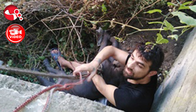 Köpeğiyle uçurumda mahsur kaldı...