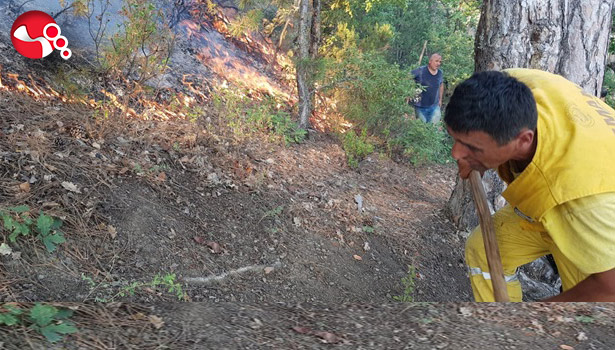 Orman yangınında soğutma çalışmaları