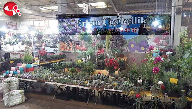 Akçakoca ve Ereğli’de hizmetinizde…