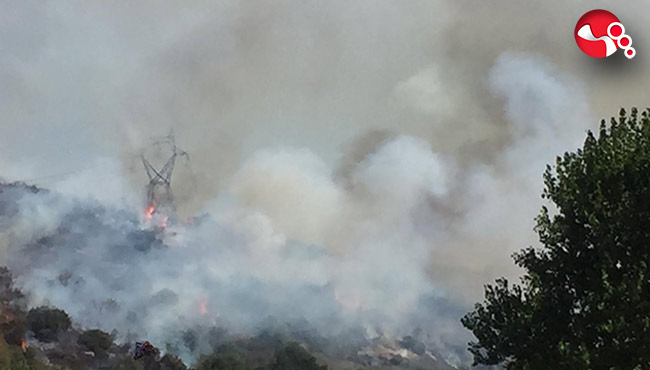 Bölücek'te Orman Yangını...